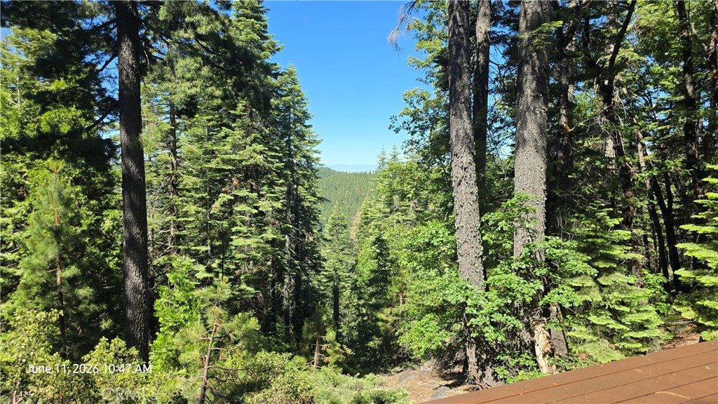 0 Fish Creek Property Photo 19