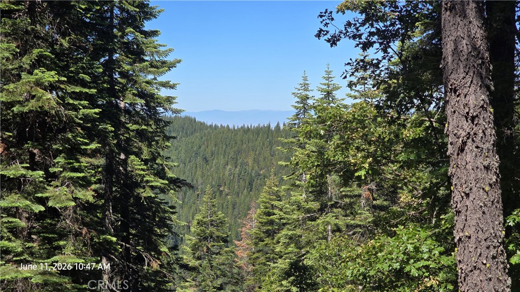0 Fish Creek Property Photo 20