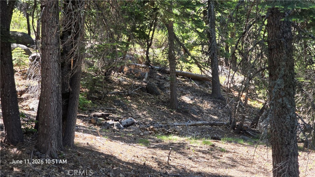 0 Fish Creek Property Photo 25