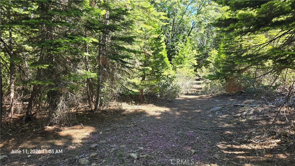 0 Fish Creek Property Photo 29
