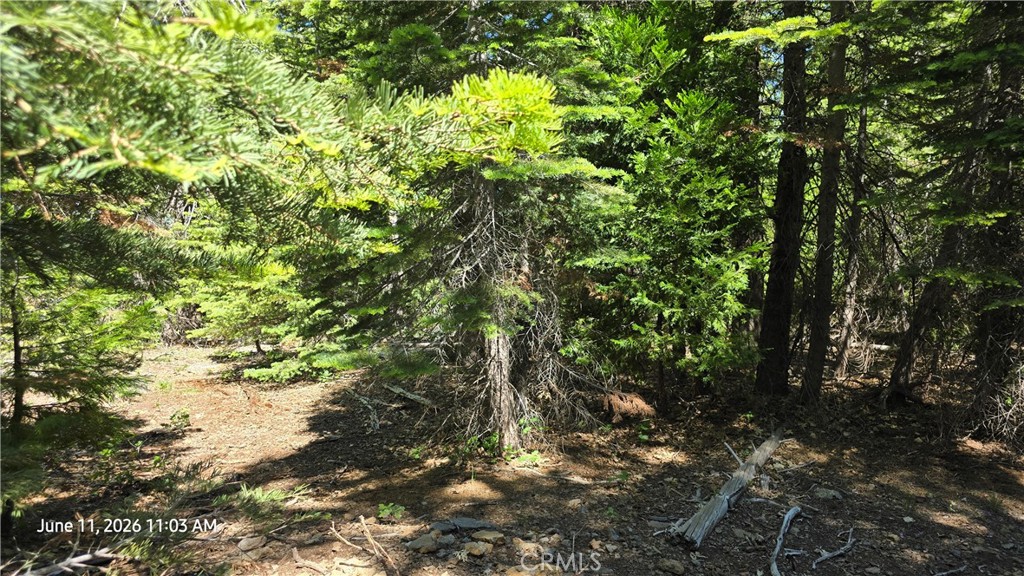 0 Fish Creek Property Photo 30