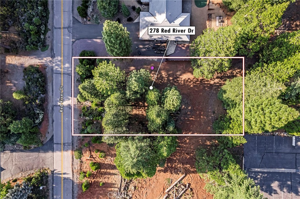 278 Red River Property Photo 4