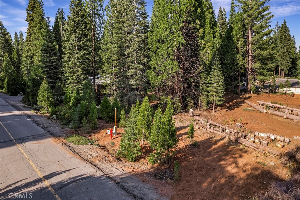 278 Red River Property Photo 5