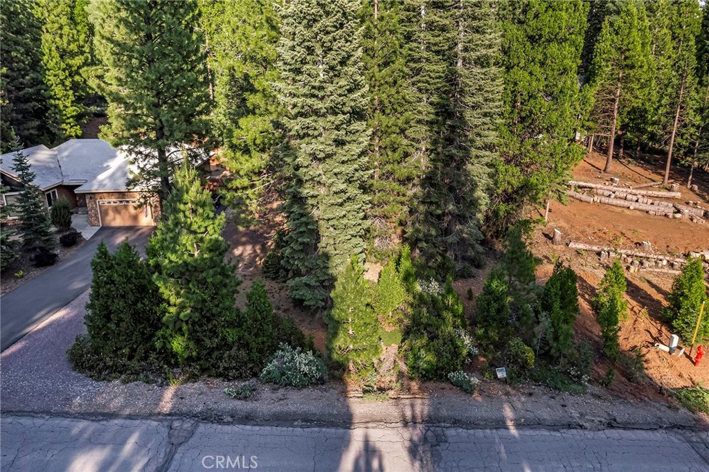 278 Red River Property Photo 6