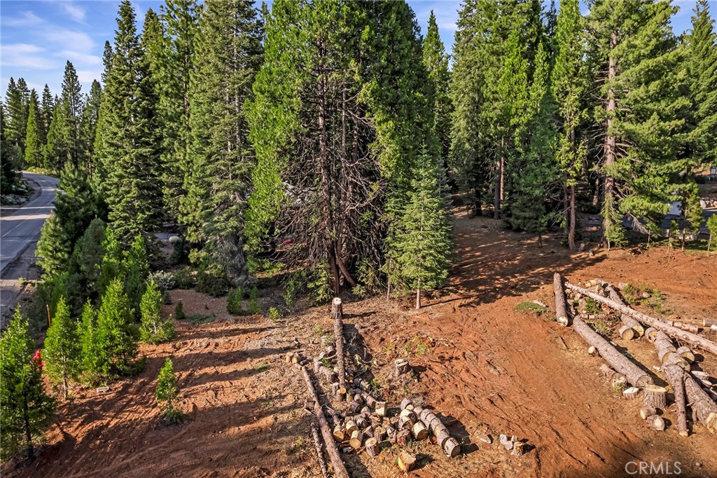 278 Red River Property Photo 8
