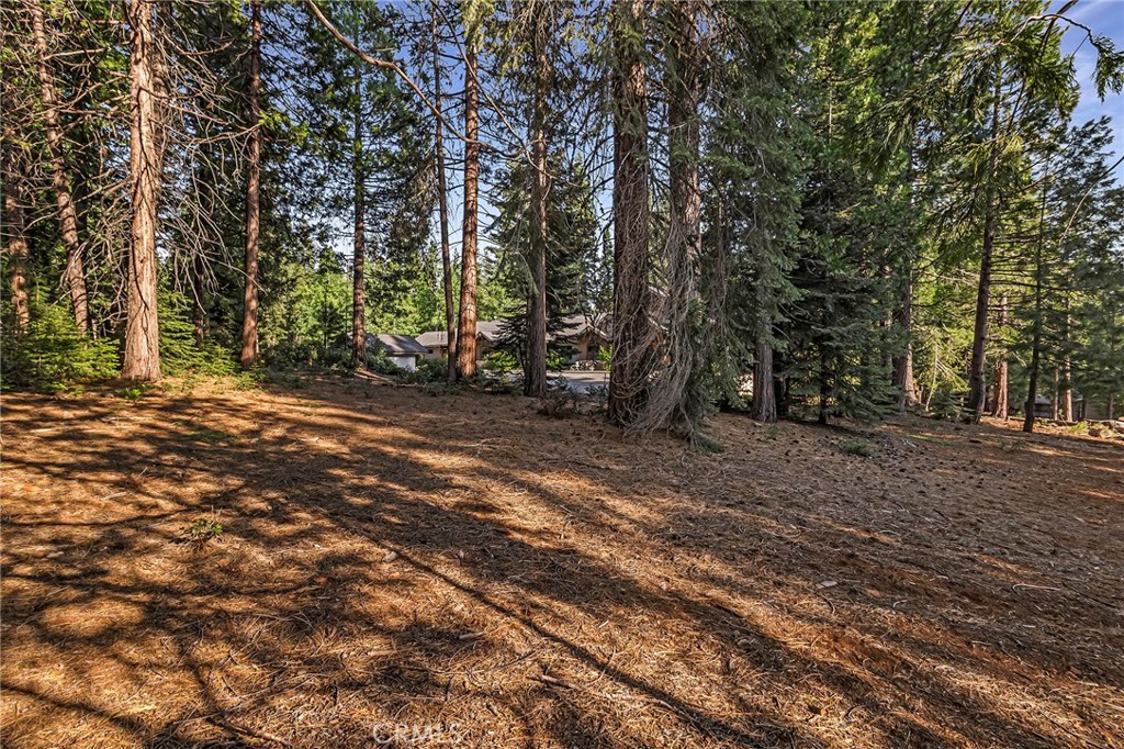 278 Red River Property Photo 12