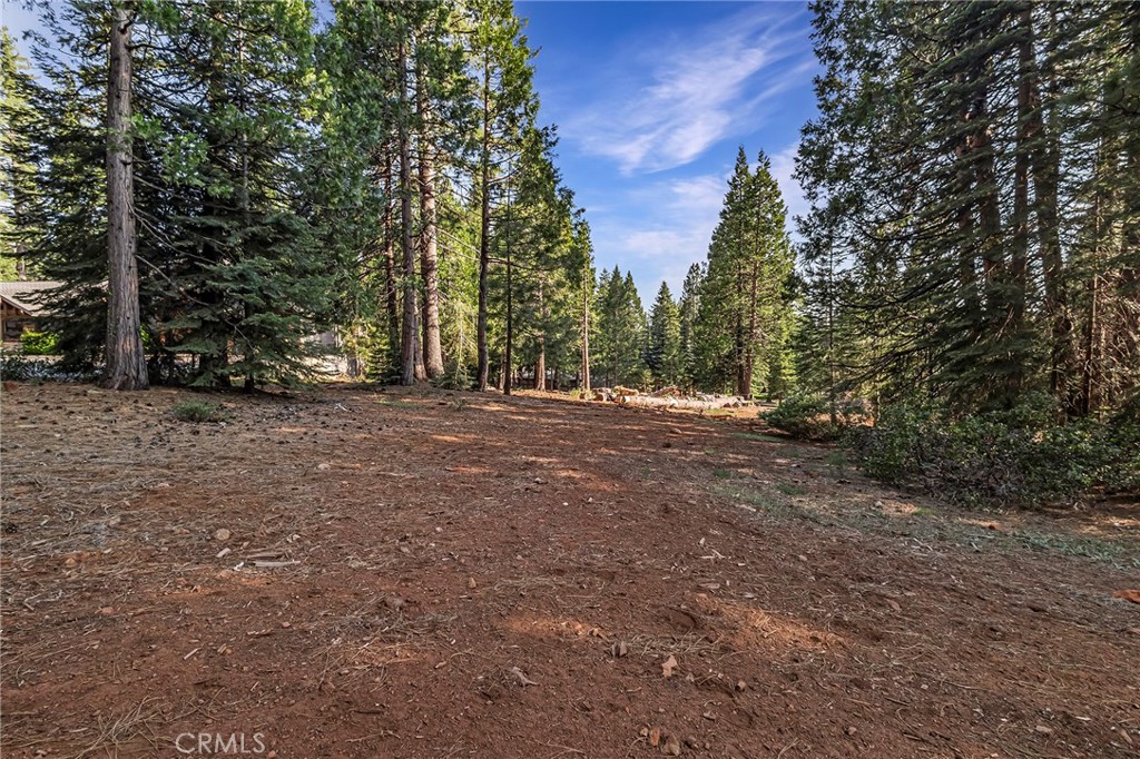 278 Red River Property Photo 13