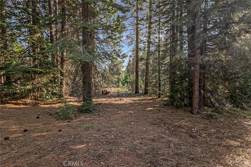 278 Red River Property Photo 14