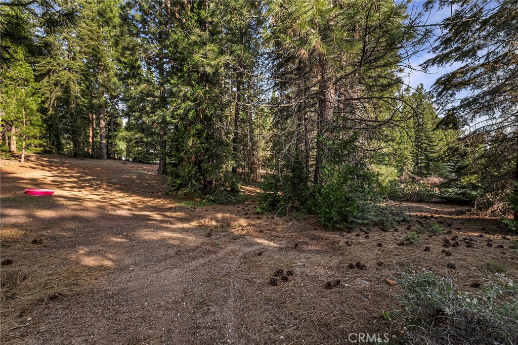 278 Red River Property Photo 15