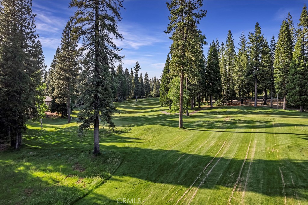 278 Red River Property Photo 16