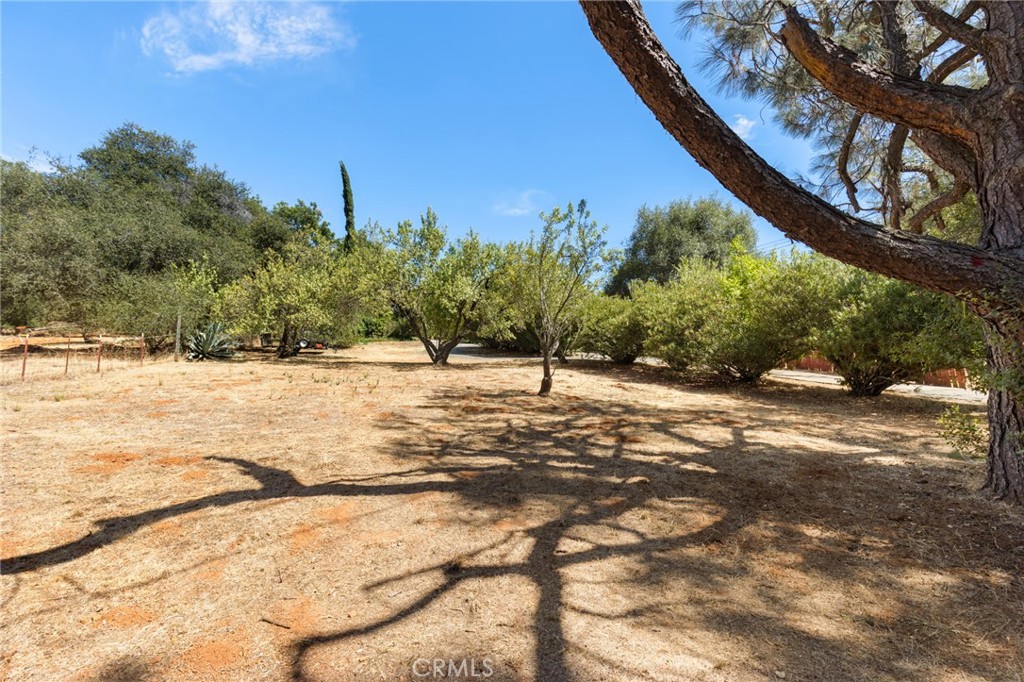 105 Pinedale Avenue Property Photo 37