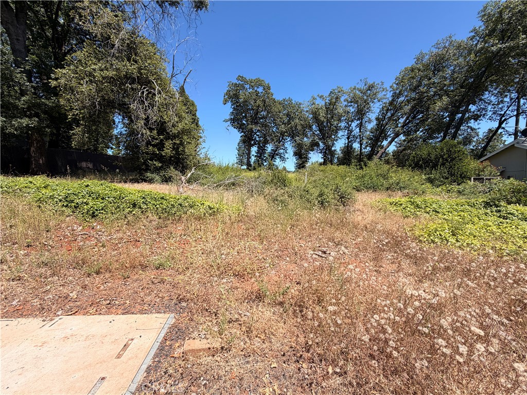 13480 Athens Property Photo 1
