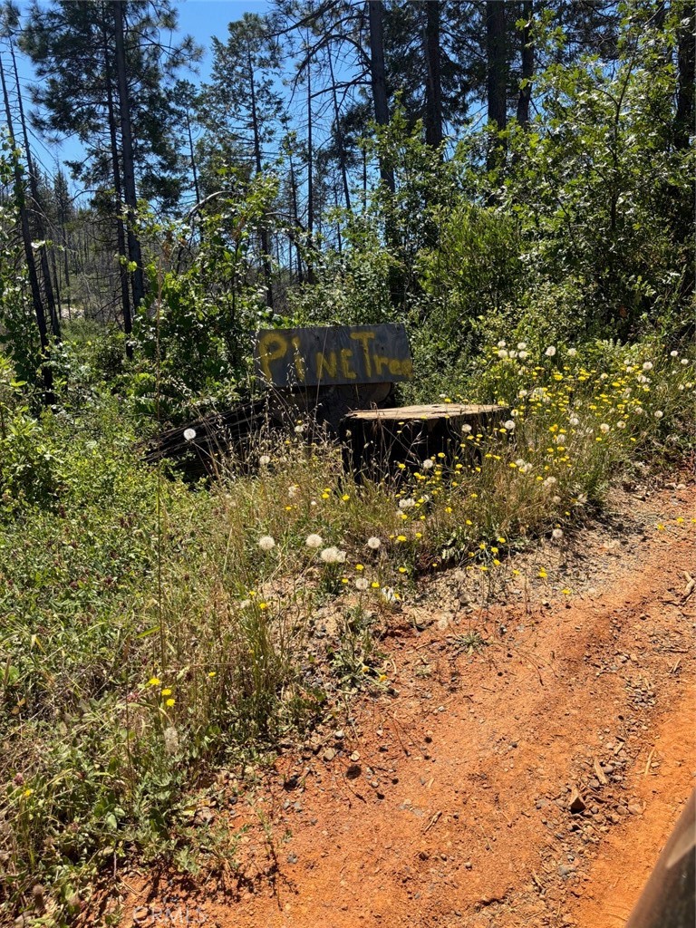 31 Rip Van Property Photo 1