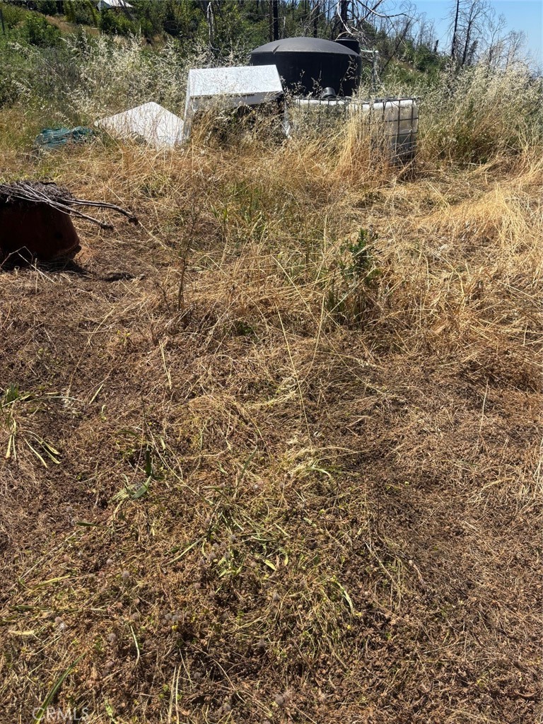 31 Rip Van Property Photo 6