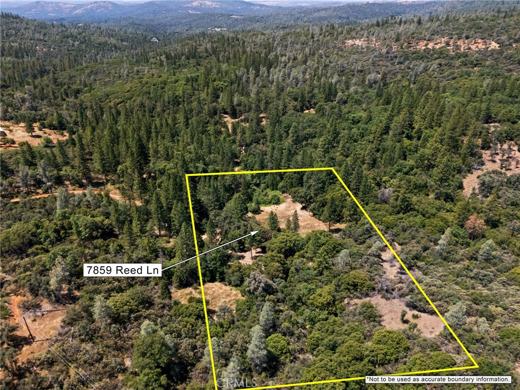 7859 Reed Lane Property Photo 3