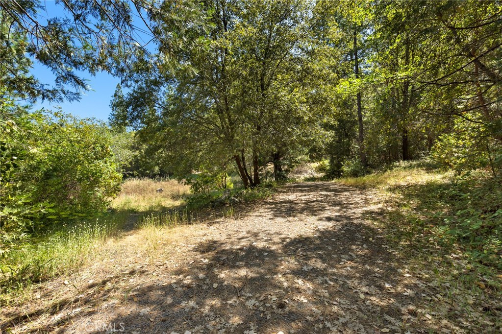 7859 Reed Lane Property Photo 11