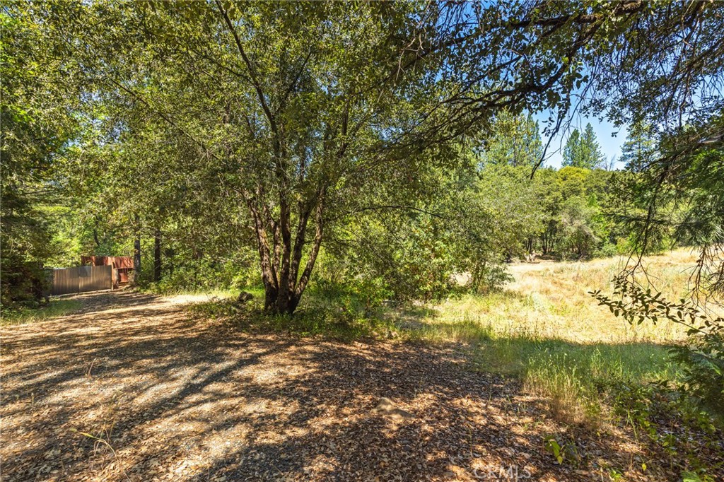 7859 Reed Lane Property Photo 12