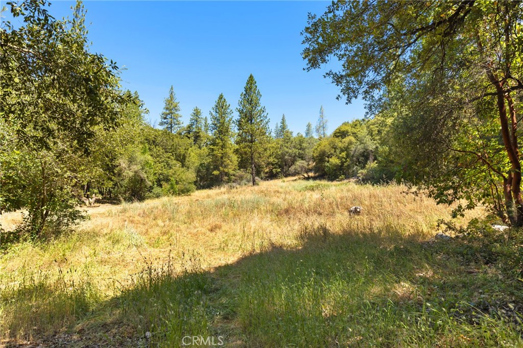 7859 Reed Lane Property Photo 13