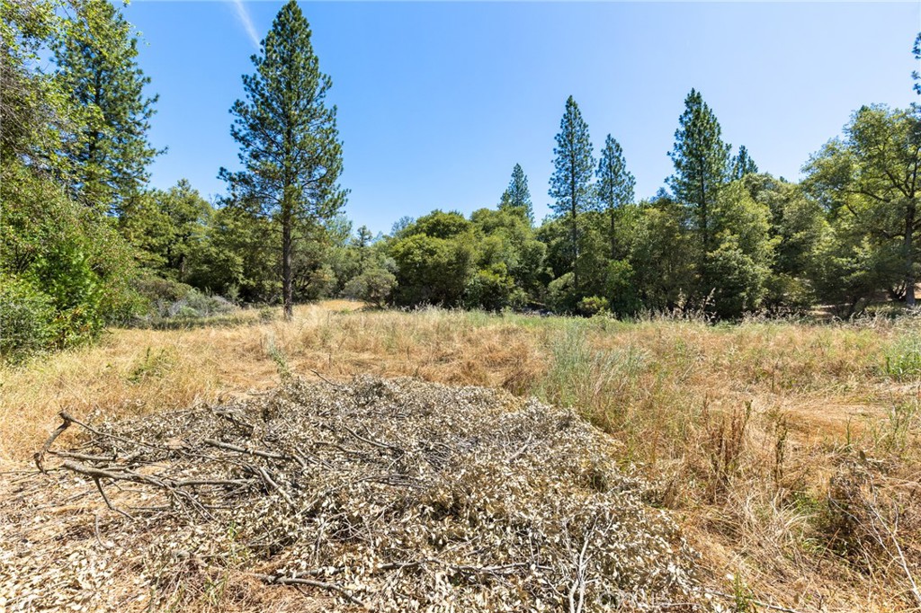 7859 Reed Lane Property Photo 15