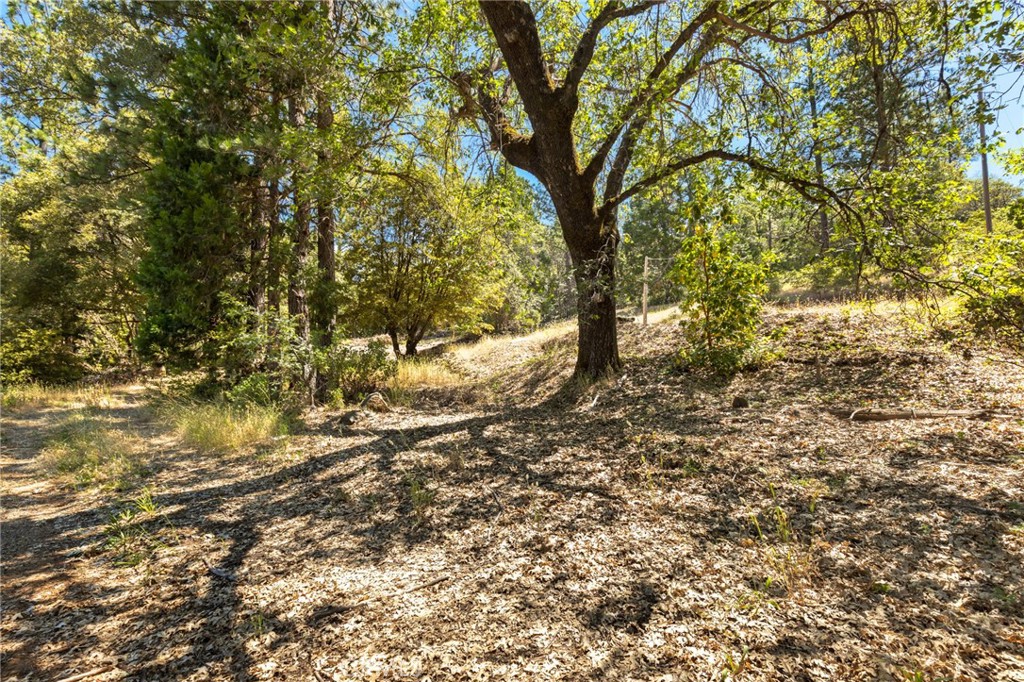 7859 Reed Lane Property Photo 16