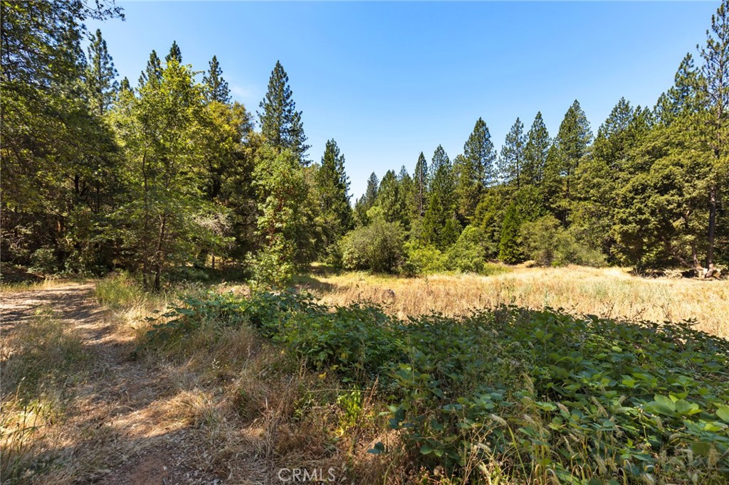 7859 Reed Lane Property Photo 17