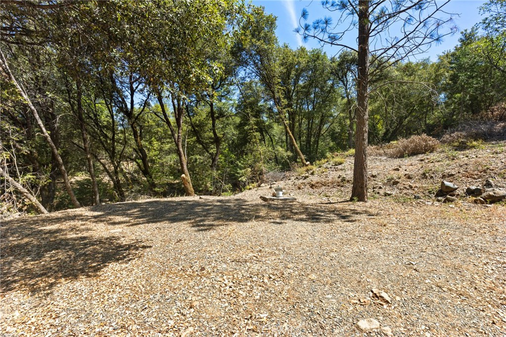 7859 Reed Lane Property Photo 18