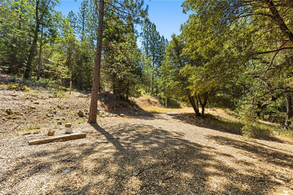 7859 Reed Lane Property Photo 21
