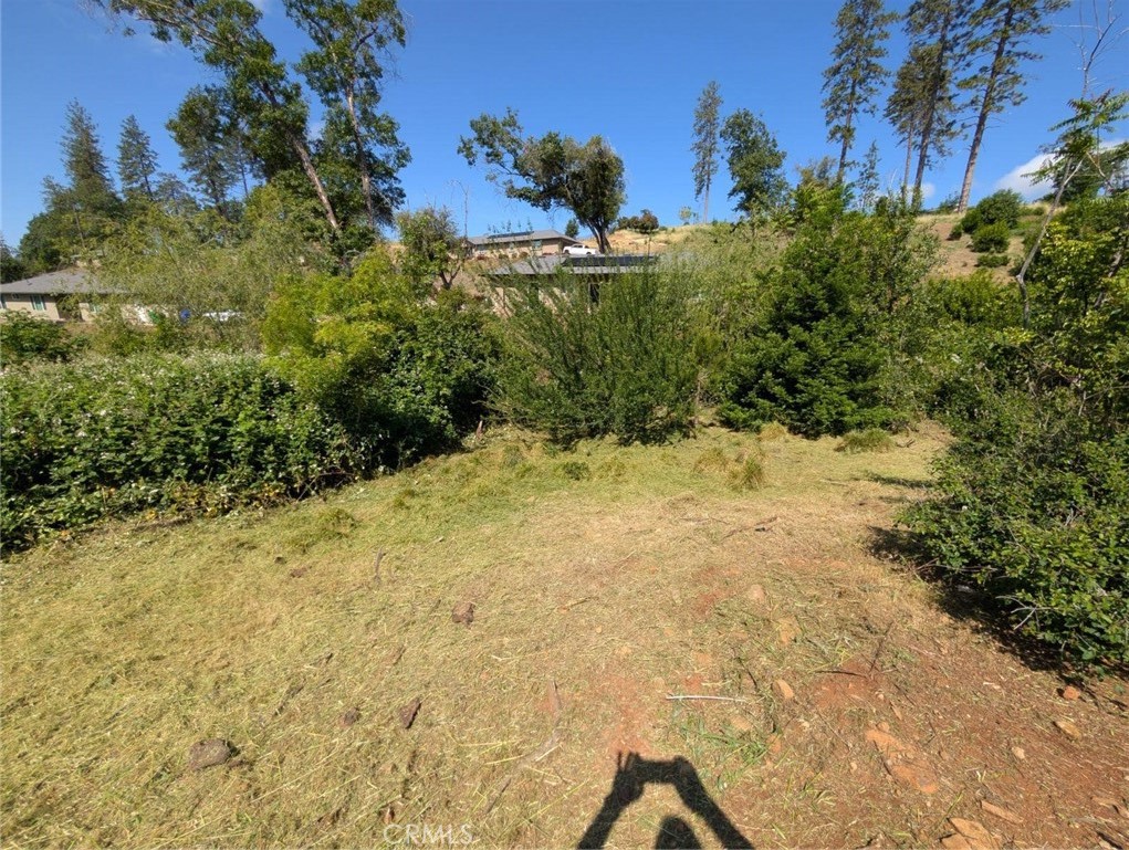 5887 Oakmore Property Photo 3