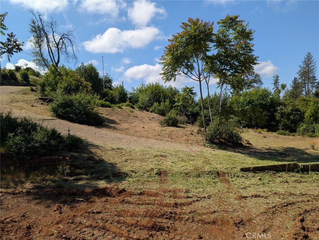 5887 Oakmore Property Photo 4