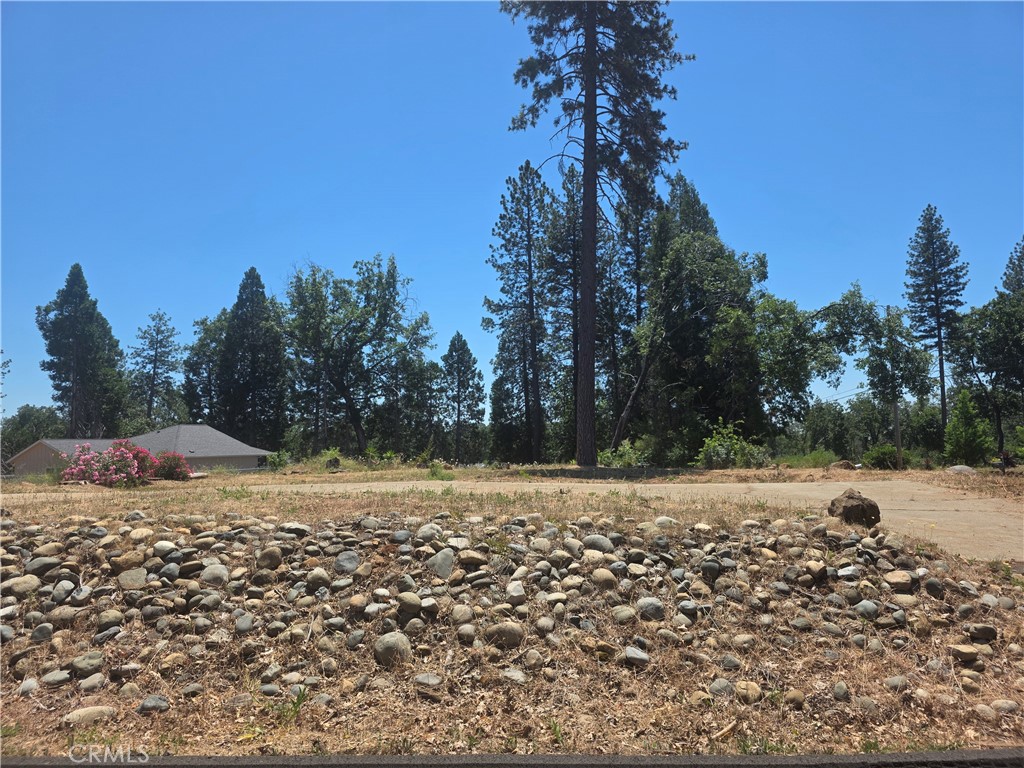 6208 Salk Court Property Photo 2