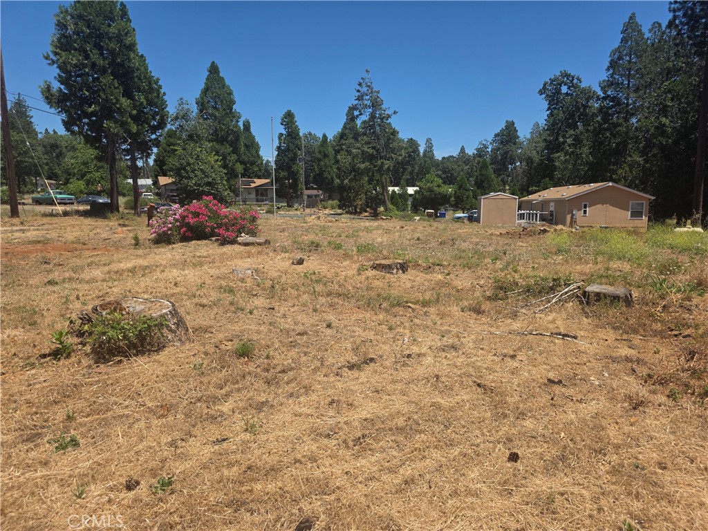 6208 Salk Court Property Photo 4