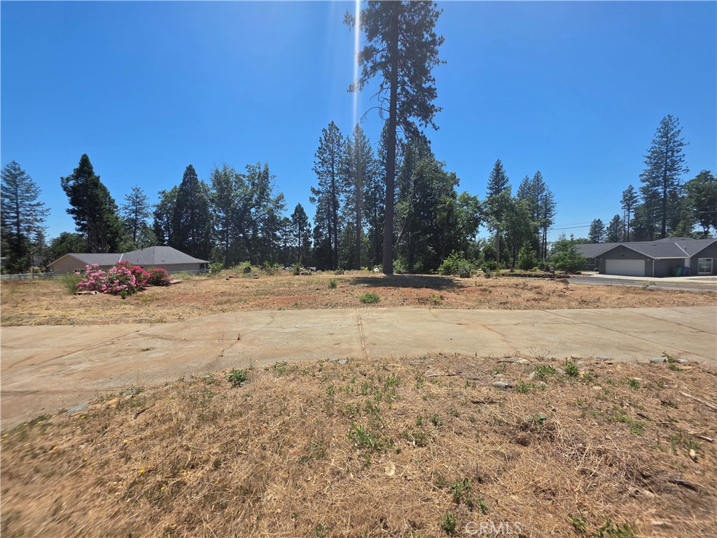 6208 Salk Court Property Photo 10
