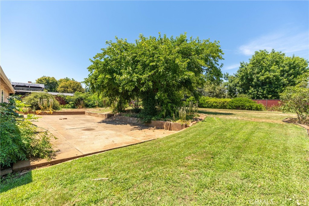 1670 Alma Property Photo 29
