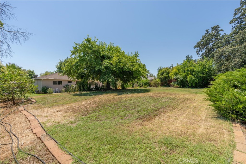 1670 Alma Property Photo 32