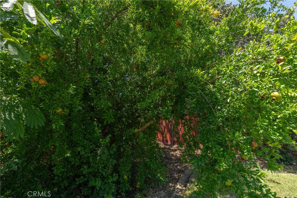 1670 Alma Property Photo 34
