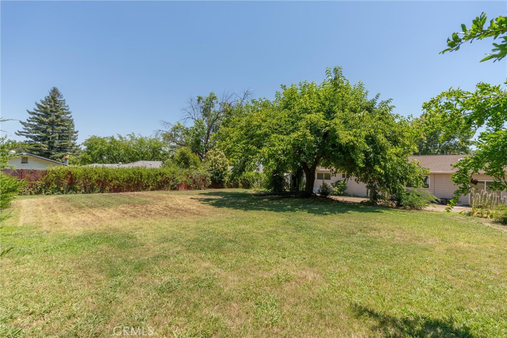 1670 Alma Property Photo 35