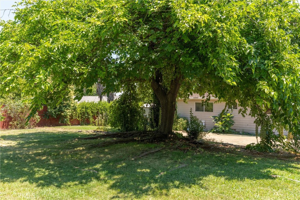 1670 Alma Property Photo 36