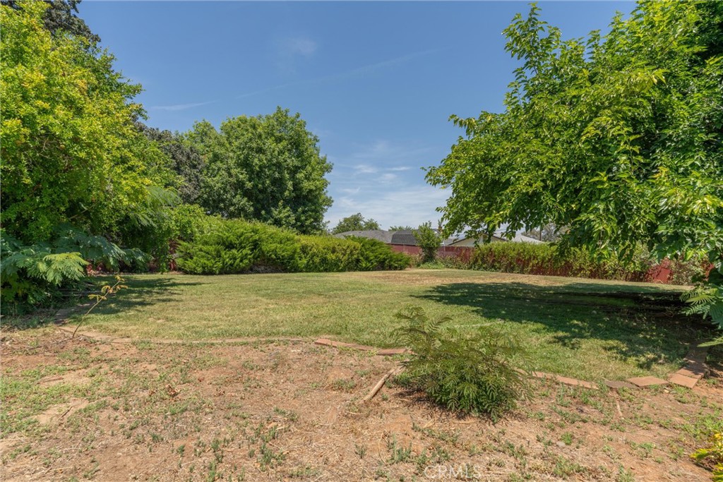 1670 Alma Property Photo 37