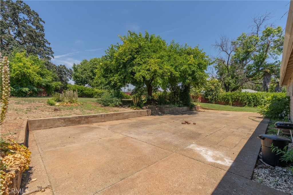 1670 Alma Property Photo 39
