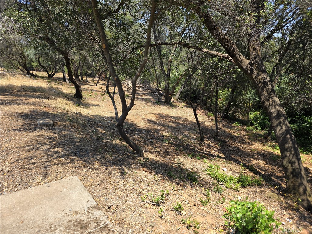 245 La Mirada Property Photo 38
