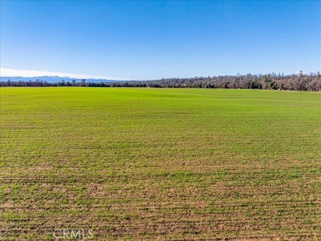 0 Old Gold Road Property Photo 11