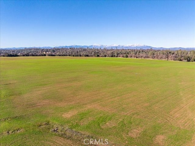 0 Old Gold Road Property Photo 13