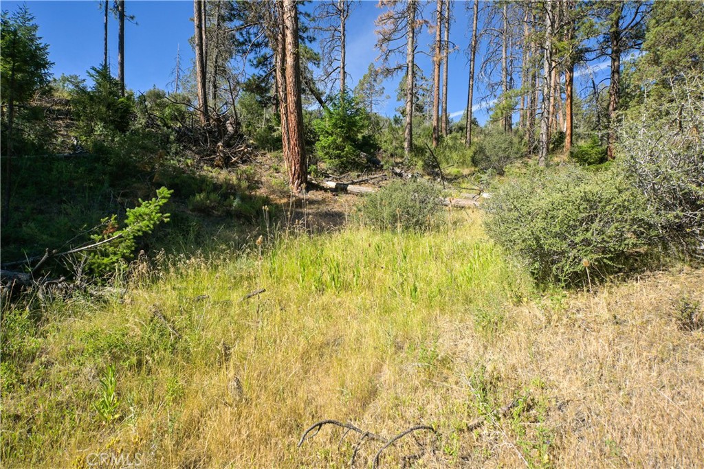 1 Duzel Creek Road Property Photo 1