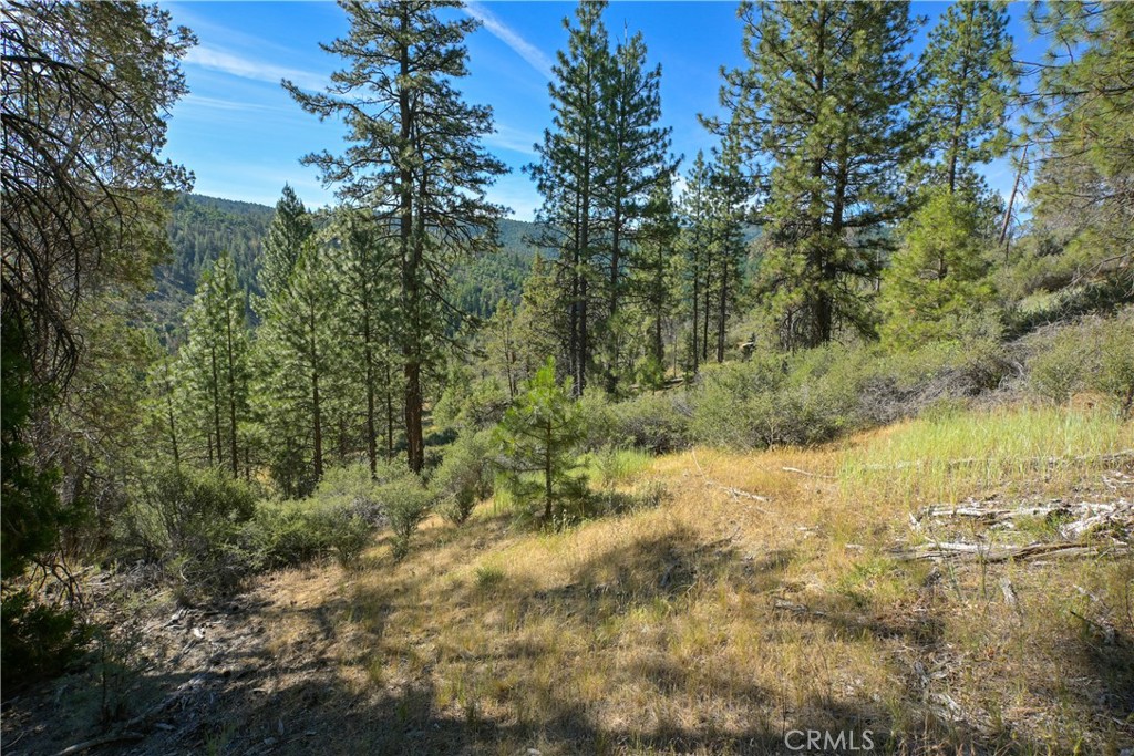 1 Duzel Creek Road Property Photo 2