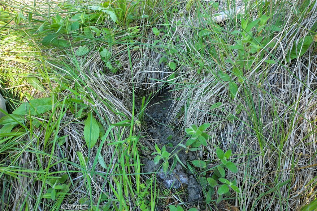1 Duzel Creek Road Property Photo 3
