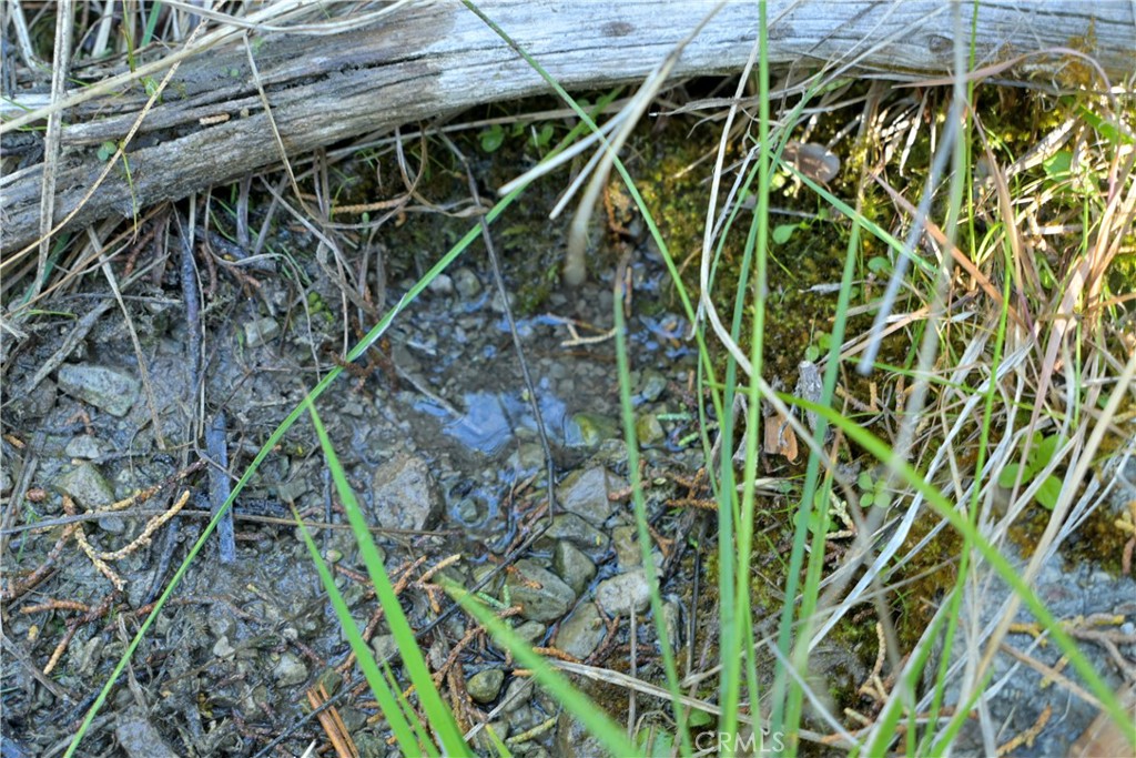 1 Duzel Creek Road Property Photo 4