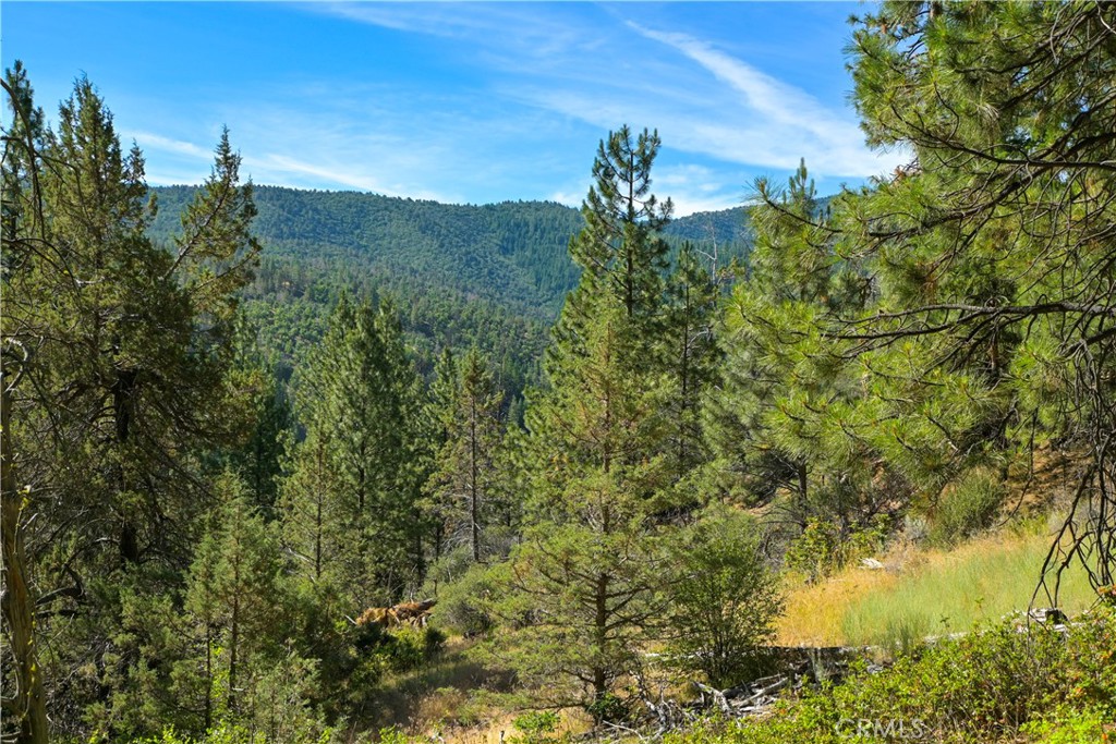 1 Duzel Creek Road Property Photo 5