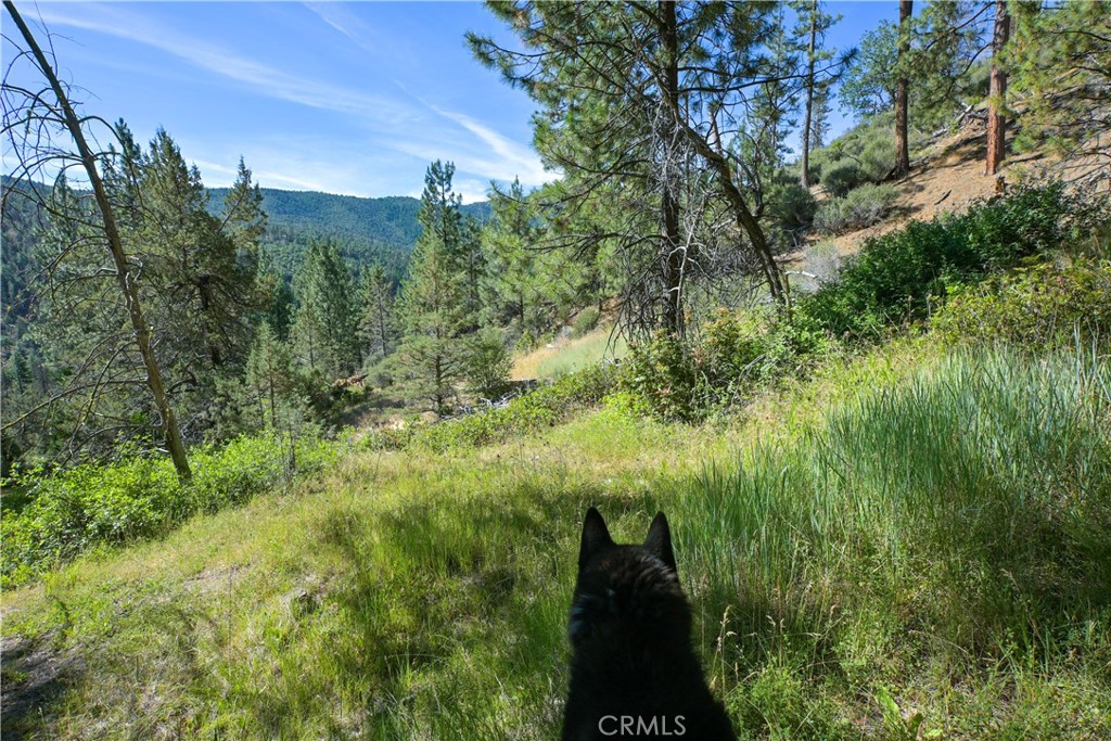 1 Duzel Creek Road Property Photo 6