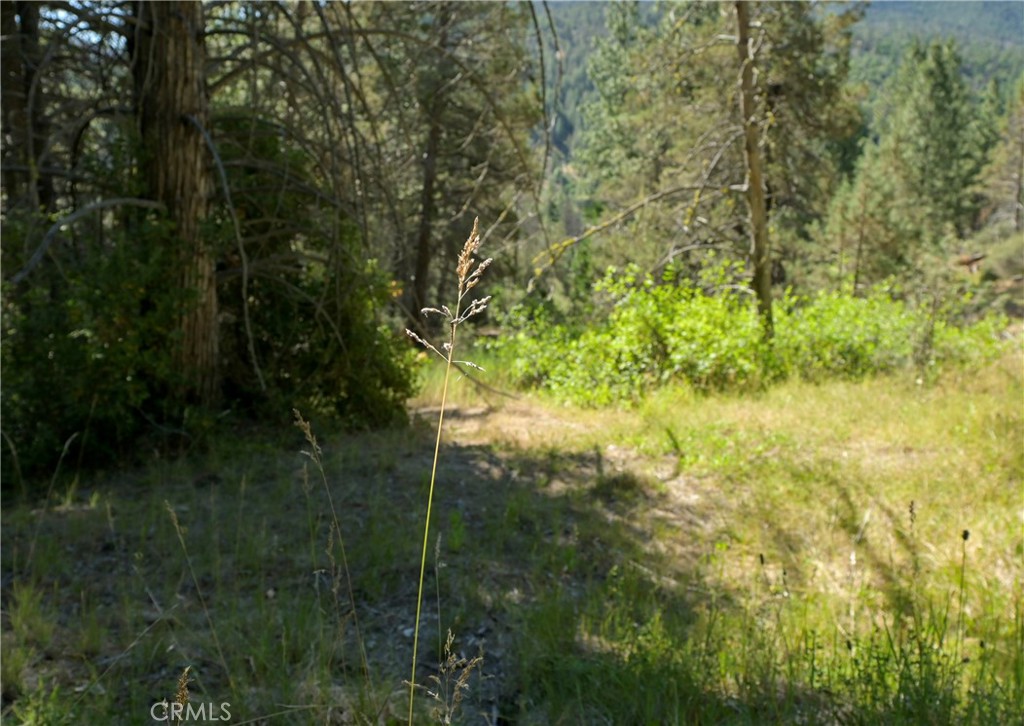 1 Duzel Creek Road Property Photo 7