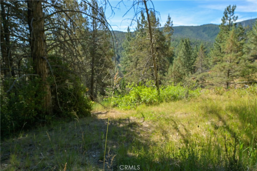 1 Duzel Creek Road Property Photo 8
